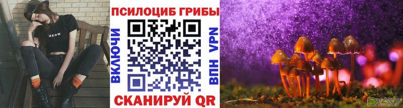 KRAKEN вход  Нижняя Салда  Галлюциногенные грибы Psilocybe  продажа наркотиков 